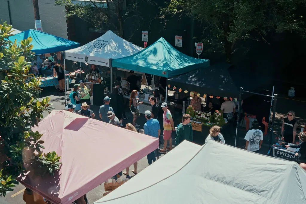 Festival guests at the public street fair.