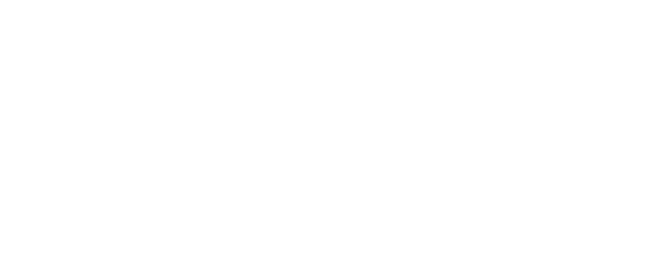Regional Arts & Culture Council